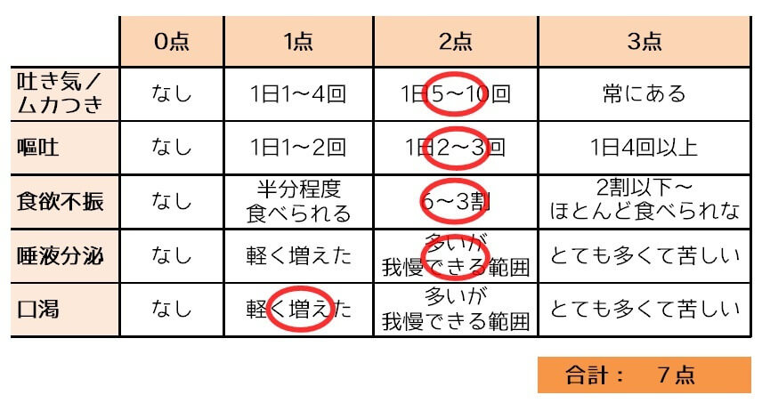 つわり点数_沖縄つわり専門くるみ助産院